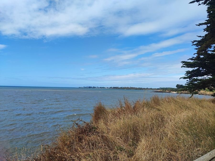 Vue sur le littoral vendéen depuis la dune, Pays de Saint-Gilles-Croix-de-Vie